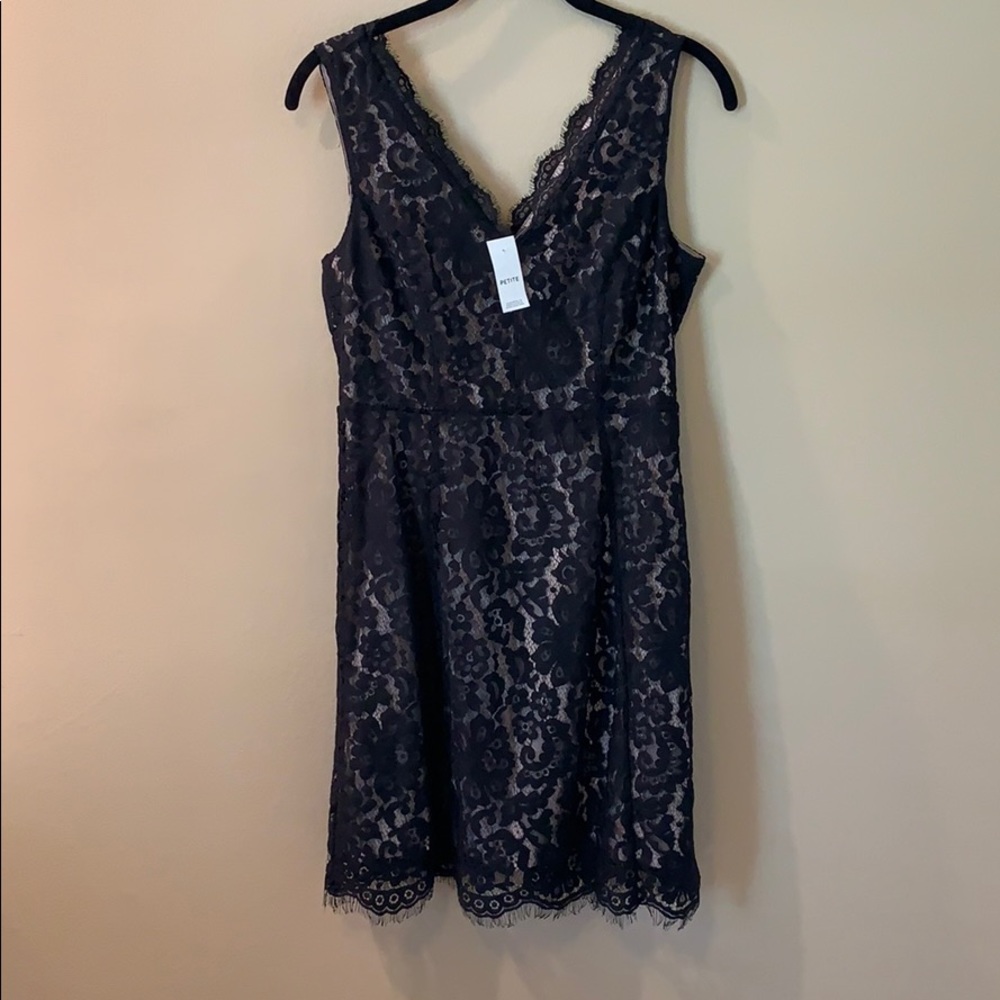 Loft Black lace dress Petite 0 NWT